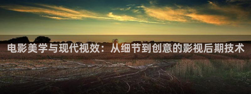 第九色在线影院：电影美学与现代视效：从细节到创意的影视后期技术