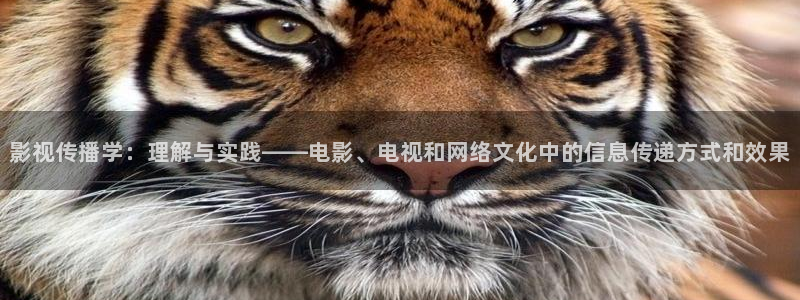 第九电影院午夜理论：影视传播学：理解与实践——电影、电视和网络文化中的信息传递方式和效果