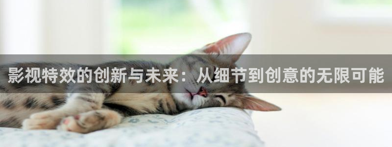 第九区国语高清免费播放：影视特效的创新与未来：从细节到创意的无限可能
