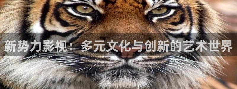 花花第九影院在线观看：新势力影视：多元文化与创新的艺术世界