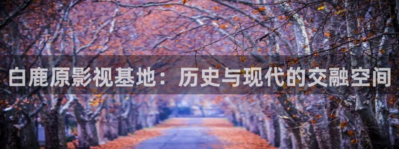 第九七电影院：白鹿原影视基地：历史与现代的交融空间