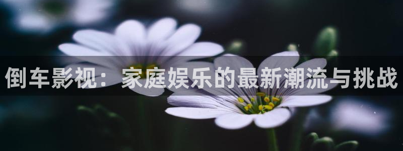 第九视频：倒车影视：家庭娱乐的最新潮流与挑战