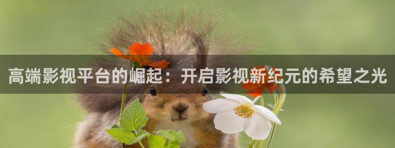 第九电影：高端影视平台的崛起：开启影视新纪元的希望之光