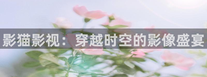 神马第九达达兔影院在线：影猫影视：穿越时空的影像盛宴