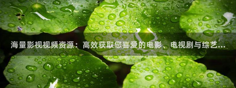 第九电影院完整免费观看：海量影视视频资源：高效获取您喜爱的电影、电视剧与综艺...